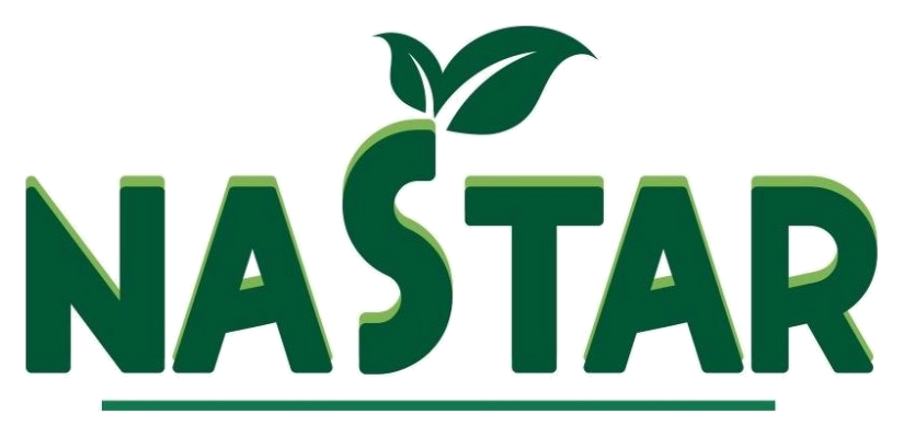 Logo NASTAR